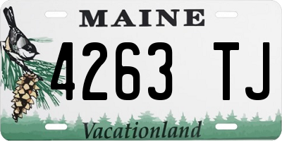 ME license plate 4263TJ