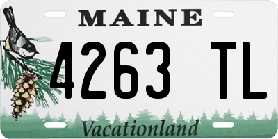 ME license plate 4263TL