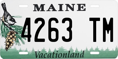ME license plate 4263TM