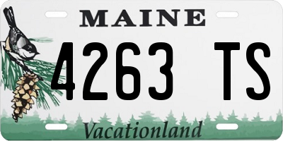 ME license plate 4263TS