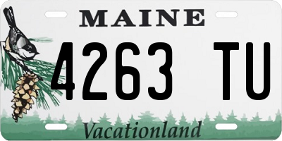 ME license plate 4263TU
