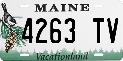 ME license plate 4263TV