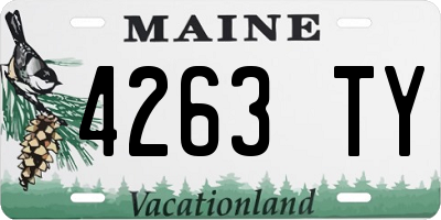 ME license plate 4263TY