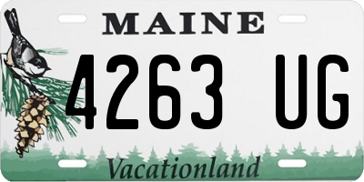 ME license plate 4263UG