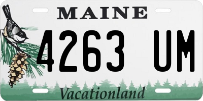 ME license plate 4263UM