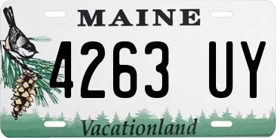 ME license plate 4263UY
