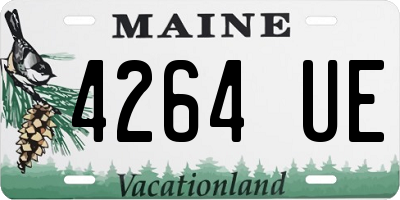 ME license plate 4264UE