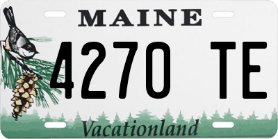 ME license plate 4270TE