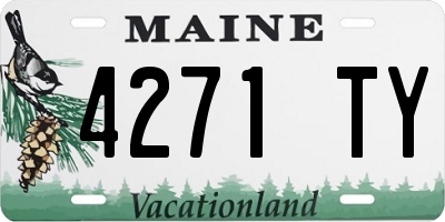 ME license plate 4271TY