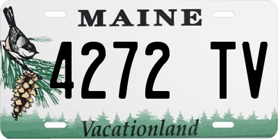 ME license plate 4272TV