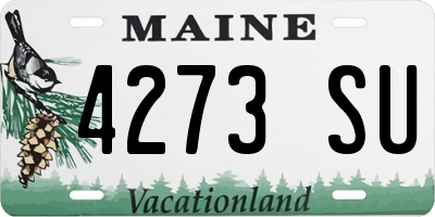 ME license plate 4273SU