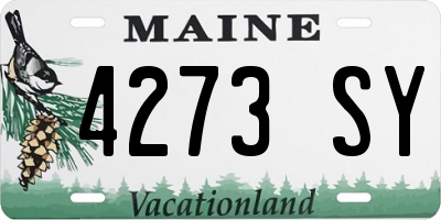 ME license plate 4273SY
