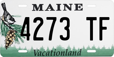 ME license plate 4273TF