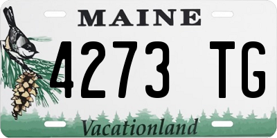 ME license plate 4273TG