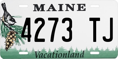 ME license plate 4273TJ