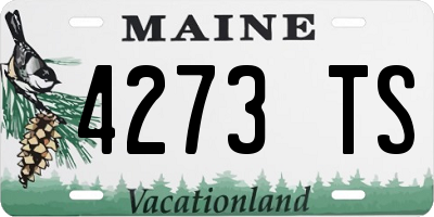 ME license plate 4273TS