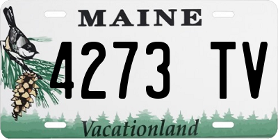 ME license plate 4273TV