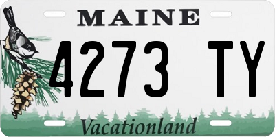 ME license plate 4273TY