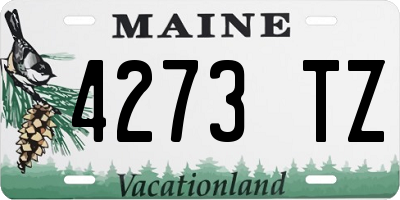 ME license plate 4273TZ