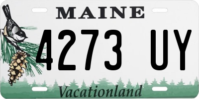 ME license plate 4273UY