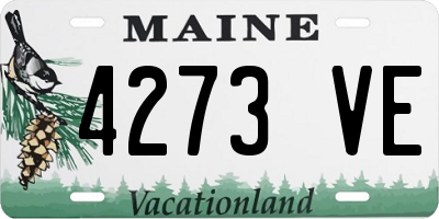 ME license plate 4273VE