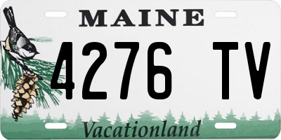 ME license plate 4276TV