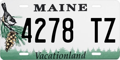 ME license plate 4278TZ