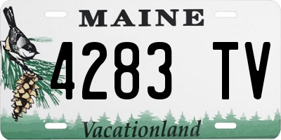 ME license plate 4283TV