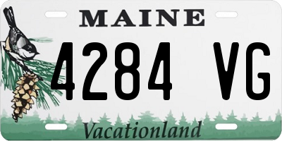 ME license plate 4284VG