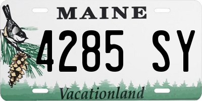 ME license plate 4285SY