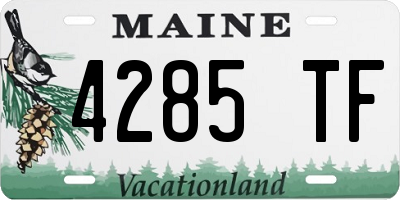 ME license plate 4285TF