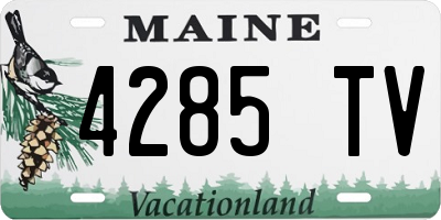 ME license plate 4285TV