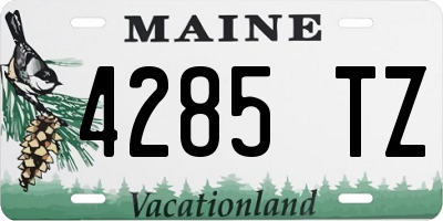 ME license plate 4285TZ