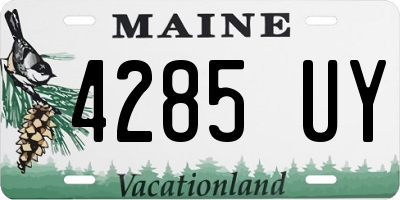 ME license plate 4285UY