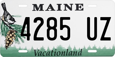 ME license plate 4285UZ
