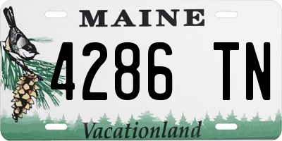 ME license plate 4286TN