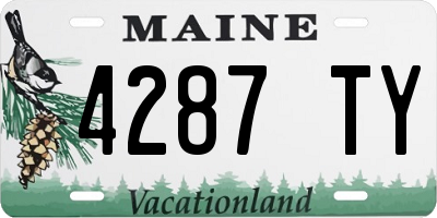 ME license plate 4287TY