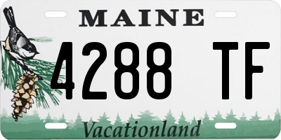ME license plate 4288TF