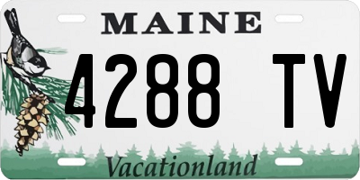 ME license plate 4288TV