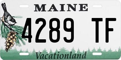 ME license plate 4289TF