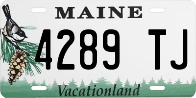 ME license plate 4289TJ