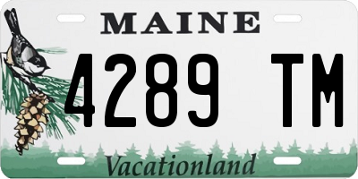ME license plate 4289TM