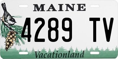 ME license plate 4289TV