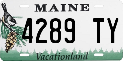 ME license plate 4289TY