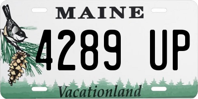 ME license plate 4289UP
