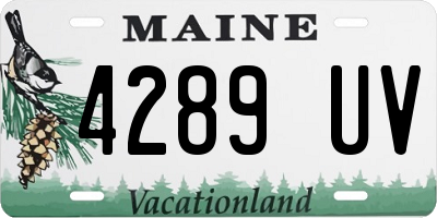 ME license plate 4289UV