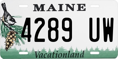 ME license plate 4289UW