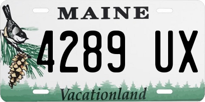 ME license plate 4289UX