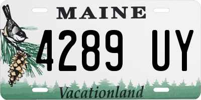 ME license plate 4289UY