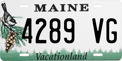 ME license plate 4289VG